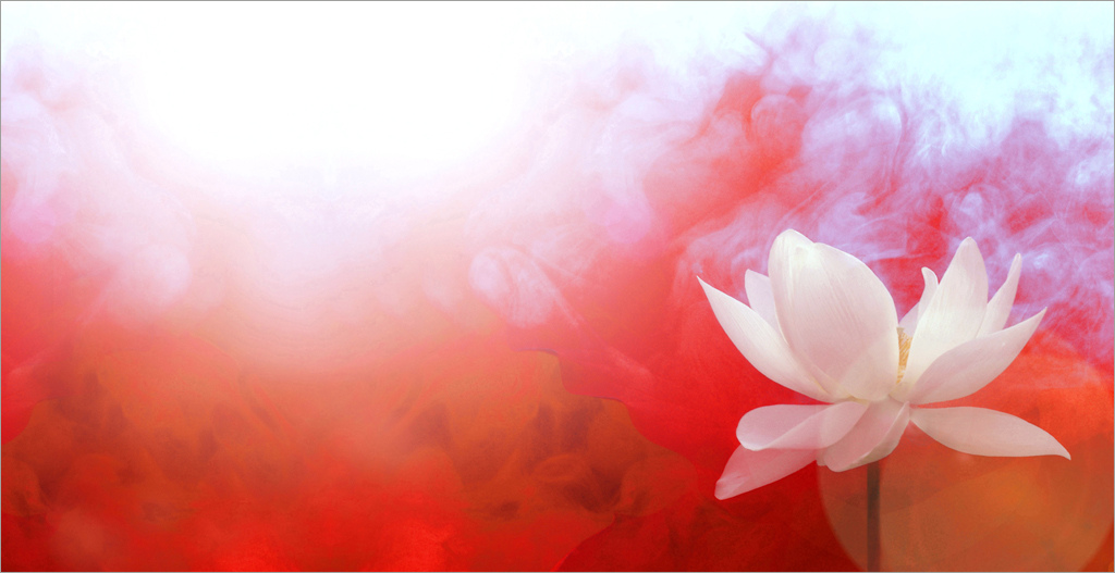 × Bahman Farzad Lotus Flower with Red background by Bahman Farzad--2877304479_7078df5f31_b